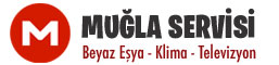 Bodrum Servisi